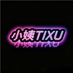 DJ.小姨